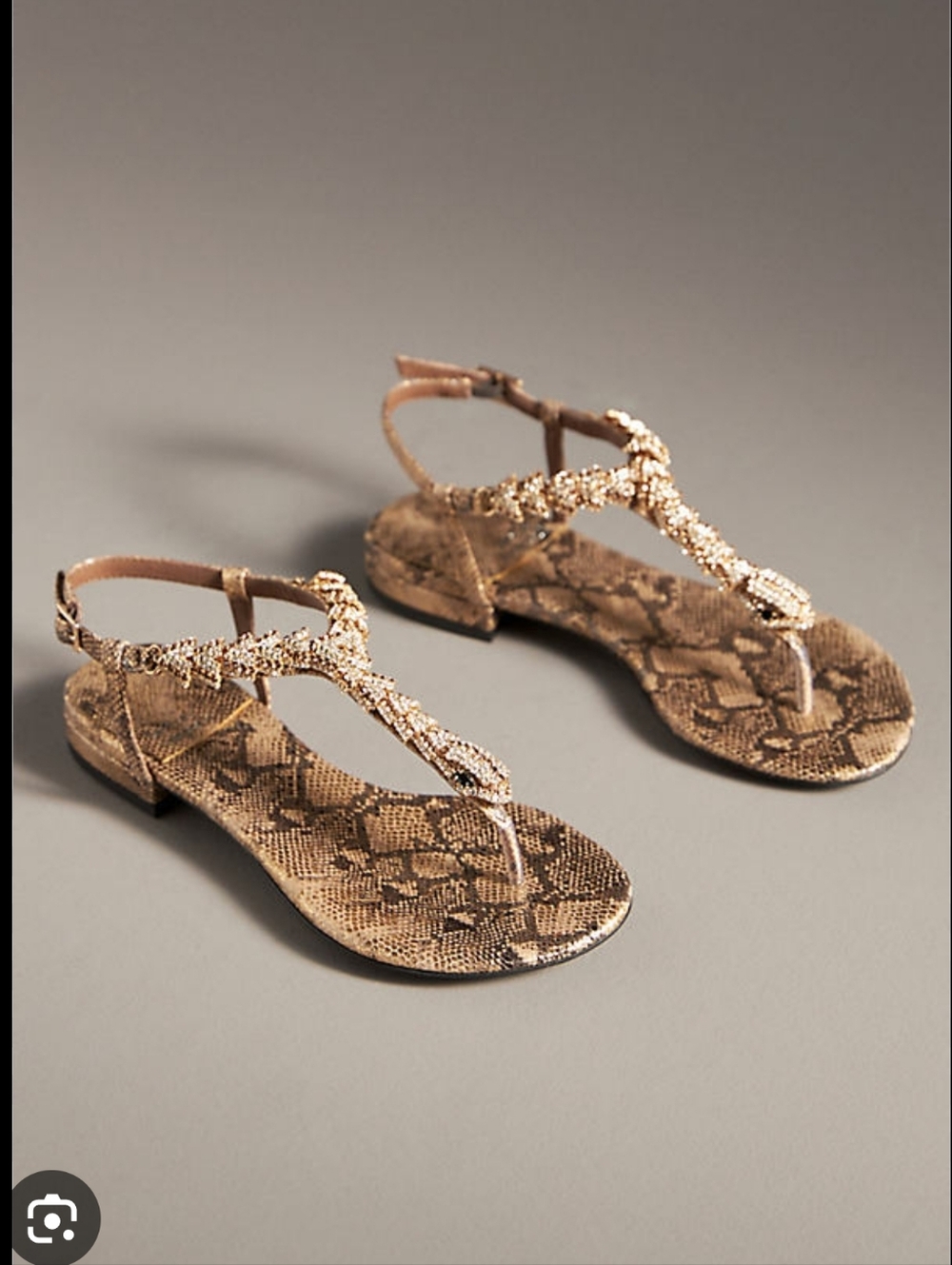 Anthropologie Jeffrey Campbell Kaa Animal Jewel Snake Sandal Size 6 New